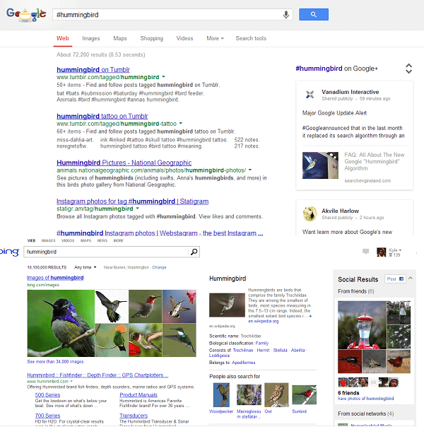 google #hummingbird vs bing