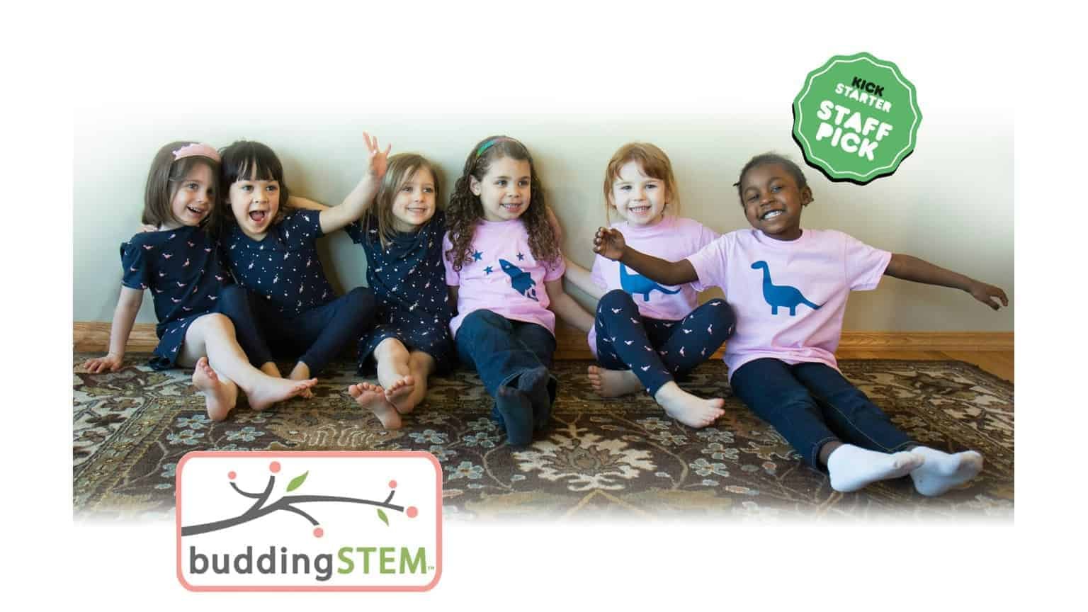 buddingSTEM SEO Audit & Results