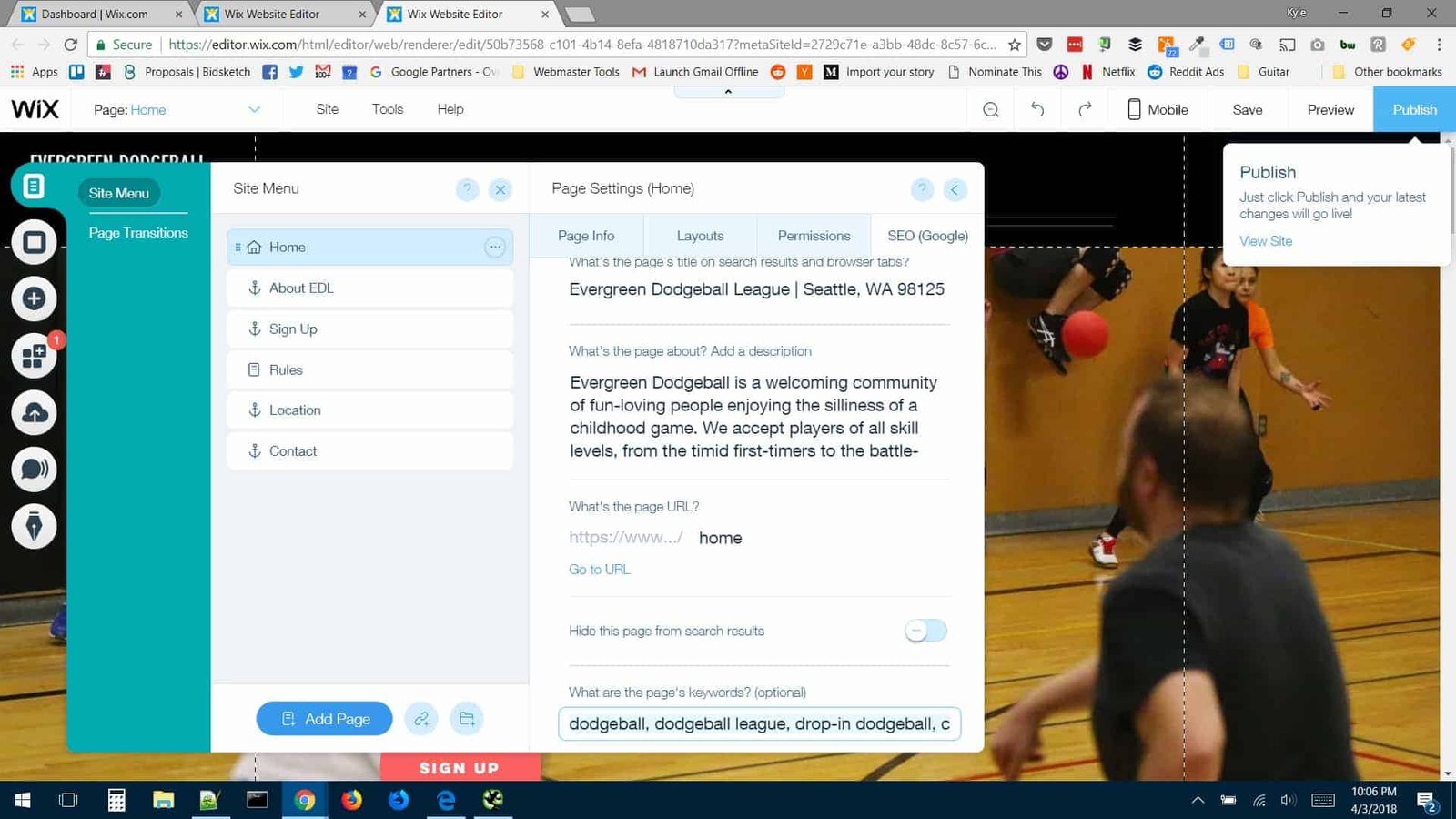 Evergreen Dodgeball Wix SEO Review